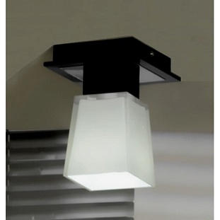 Светильник потолочный LUSSOLE LENTE LSC-2507-01